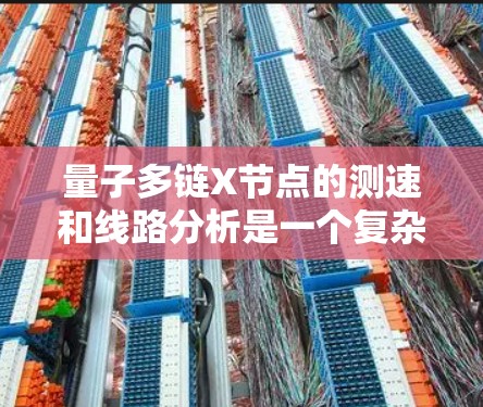 量子多链X节点的测速和线路分析是一个复杂且涉及多方面的课题。以下是基于已有的知识，对量子多链X节点的测速和线路分析进行的详细总结和解释