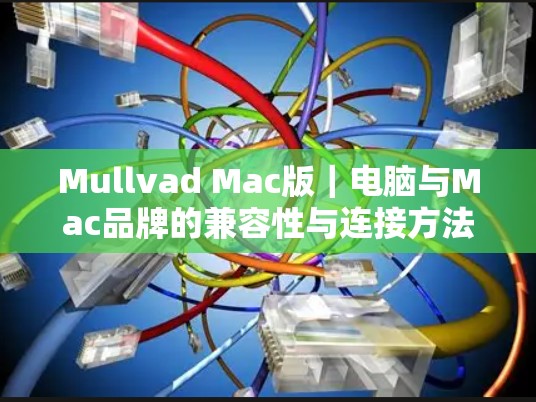 Mullvad Mac版｜电脑与Mac品牌的兼容性与连接方法