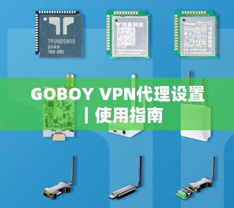 GOBOY VPN代理设置｜使用指南