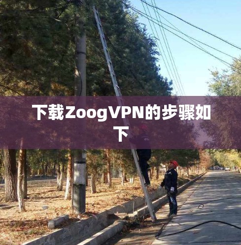 下载ZoogVPN的步骤如下 下载ZoogVPN的步骤如下