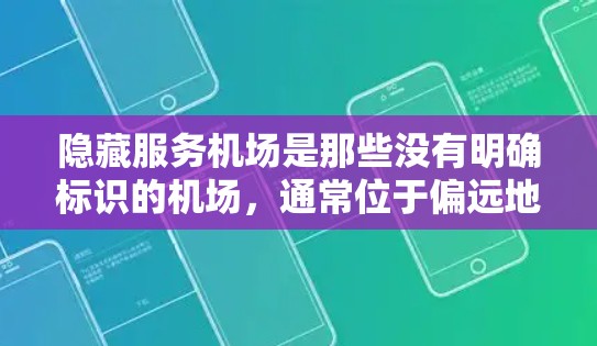 隐藏服务机场是那些没有明确标识的机场，通常位于偏远地区或特定国家。它们的网络可能因地理位置特殊而较为独特。为了确保这些机场的网络稳定，以下是一些推荐和建议