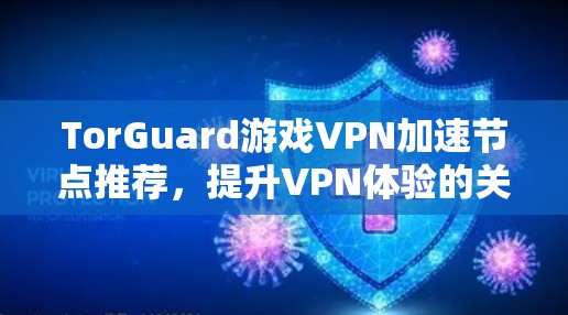 TorGuard游戏VPN加速节点推荐，提升VPN体验的关键节点选择