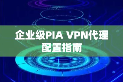 企业级PIA VPN代理配置指南