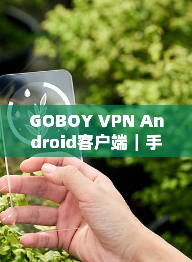 GOBOY VPN Android客户端｜手机加速器