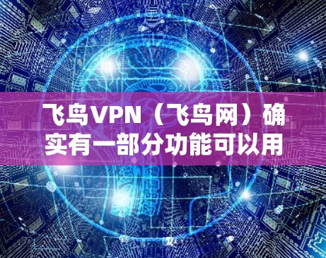 飞鸟VPN（飞鸟网）确实有一部分功能可以用于VPN进入机场或机场节点。不过，进入机场可能会有一些限制，具体取决于飞鸟VPN的设置和认证要求。以下是一些常见的机场节点和服务器推荐，供参考