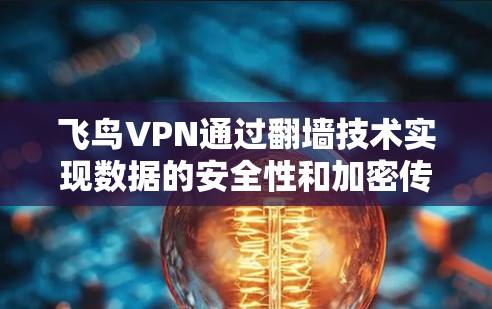 飞鸟VPN通过翻墙技术实现数据的安全性和加密传输，主要涉及以下几个方面