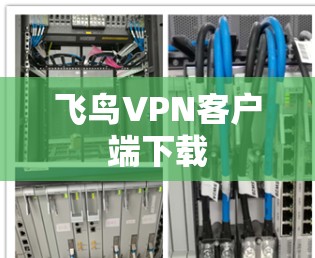 飞鸟VPN客户端下载