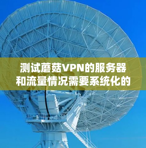 测试蘑菇VPN的服务器和流量情况需要系统化的步骤，以下是一个详细的指南，帮助您完成测试
