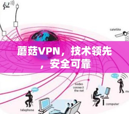 蘑菇VPN，技术领先，安全可靠