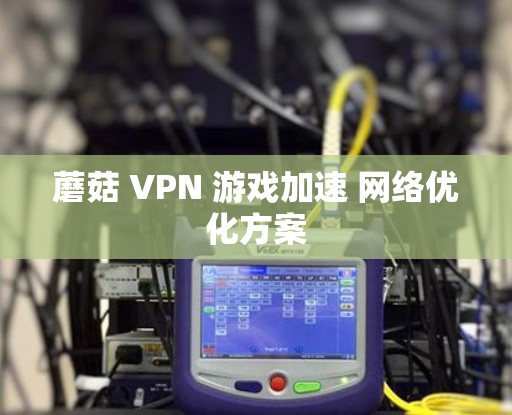 蘑菇 VPN 游戏加速 网络优化方案