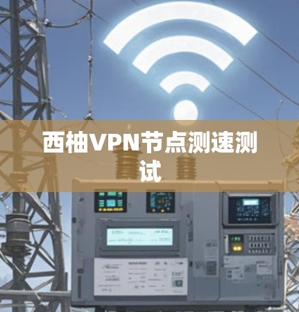 西柚VPN节点测速测试