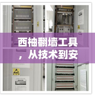 西柚翻墙工具，从技术到安全的未来挑战