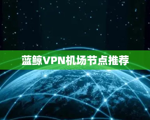 蓝鲸VPN机场节点推荐 蓝鲸VPN机场节点推荐