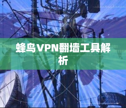 蜂鸟VPN翻墙工具解析 蜂鸟VPN翻墙工具解析