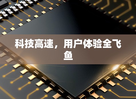 科技高速,用户体验全飞鱼 科技高速,用户体验全飞鱼