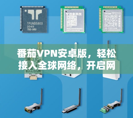 番茄VPN安卓版，轻松接入全球网络，开启网络安全之旅