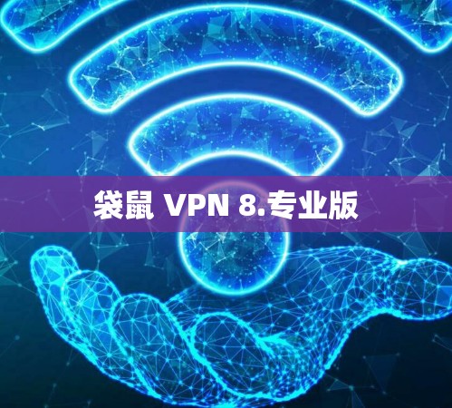 袋鼠 VPN 8.专业版