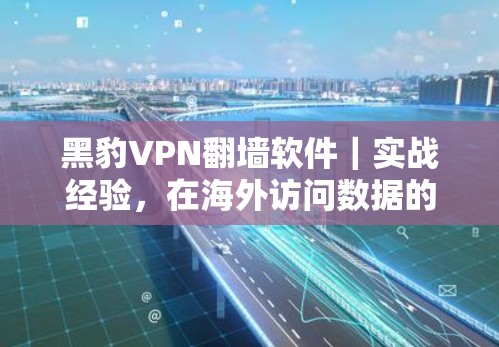 黑豹VPN<strong>翻墙软件</strong>｜实战经验，在海外访问数据的生存之道