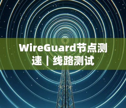 WireGuard节点测速｜线路测试