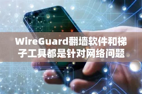 WireGuard<strong>翻墙软件</strong>和梯子工具都是针对网络问题的解决方案，但它们的功能和用途有所不同。以下是对这两个工具的详细介绍
