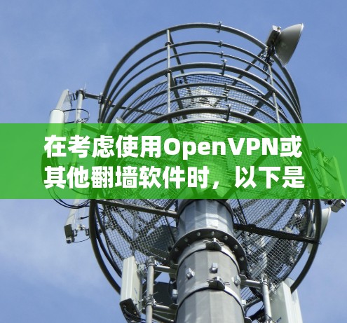 在考虑使用OpenVPN或其他<strong>翻墙软件</strong>时，以下是对各选项的总结和推荐