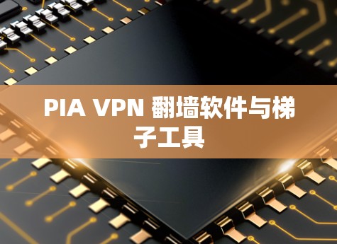 PIA VPN <strong>翻墙软件</strong>与梯子工具