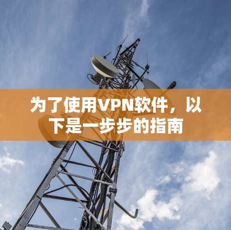 为了使用VPN软件，以下是一步步的指南