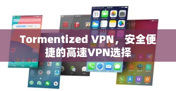 Tormentized VPN，安全便捷的高速VPN选择