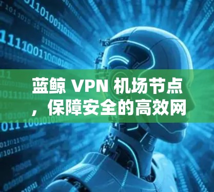 蓝鲸 VPN 机场节点，保障安全的高效网络解决方案