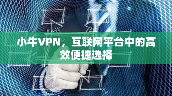 小牛VPN，互联网平台中的高效便捷选择