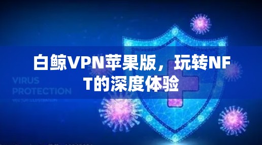 白鲸VPN苹果版，玩转NFT的深度体验