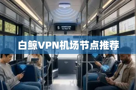 白鲸VPN机场节点推荐