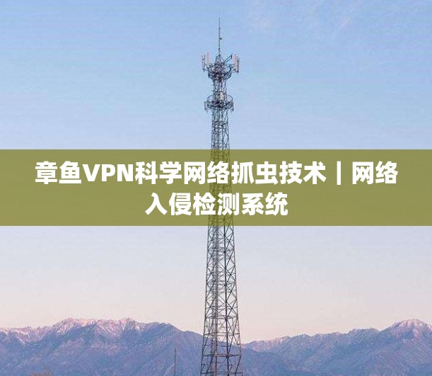 章鱼VPN科学网络抓虫技术|网络入侵检测系统 章鱼VPN科学网络抓虫技术|网络入侵检测系统