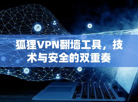 狐狸VPN翻墙工具，技术与安全的双重奏