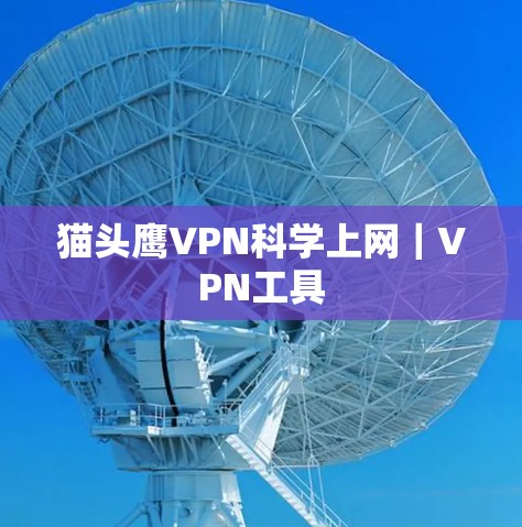 猫头鹰VPN<strong>科学上网</strong>｜VPN工具