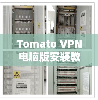 Tomato VPN电脑版安装教程
