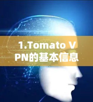 1.Tomato VPN的基本信息