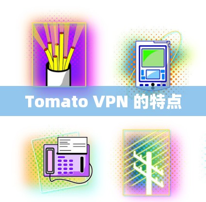 Tomato VPN 的特点