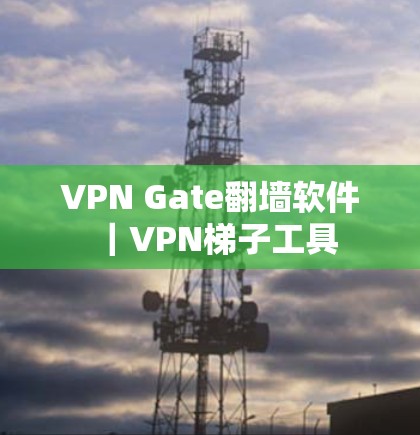 VPN Gate翻墙软件｜VPN<strong>梯子</strong>工具