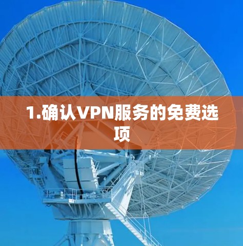 1.确认VPN服务的免费选项