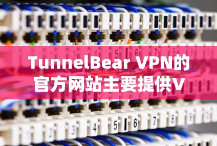 TunnelBear VPN的官方网站主要提供VPN服务，以下是常见的入口