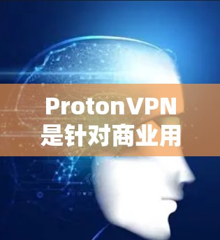 ProtonVPN是针对商业用户的 VPN 服务，它提供了一个安全的、实时的网络连接体验。如果你在机场使用 ProtonVPN，可以按照以下步骤进行