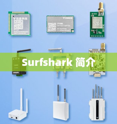 Surfshark 简介 Surfshark 简介