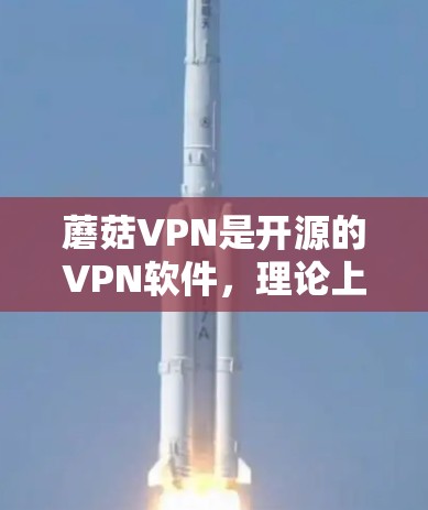 蘑菇VPN是开源的VPN软件，理论上应该有最新版本。以下是使用蘑菇VPN进行安装和使用的一些步骤提示