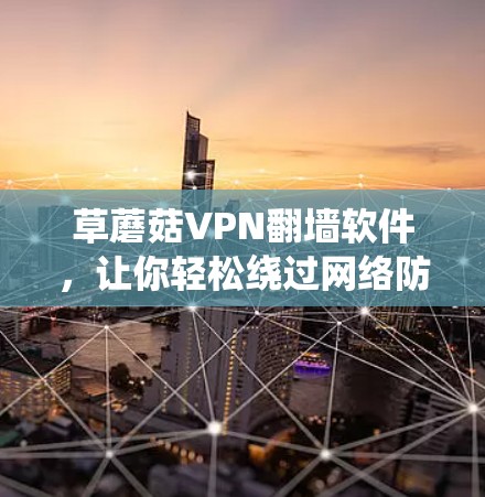 草蘑菇VPN<strong>翻墙软件</strong>，让你轻松绕过网络防火墙