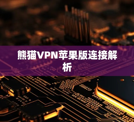 熊猫VPN苹果版连接解析