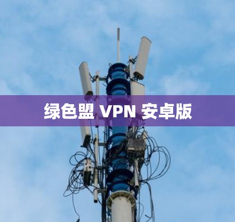 绿色盟 VPN 安卓版