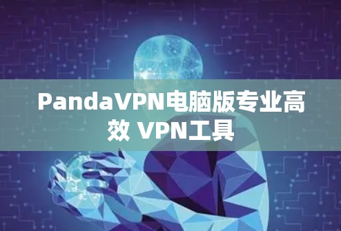 PandaVPN电脑版专业高效 VPN工具