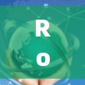 Rocket VPN 是一个提供高速节点和多功能的VPN工具，适合需要高可靠性和性能的用户。以下是关于它的详细介绍