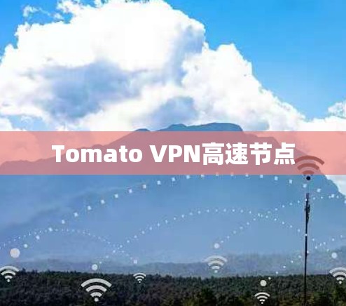Tomato VPN高速节点